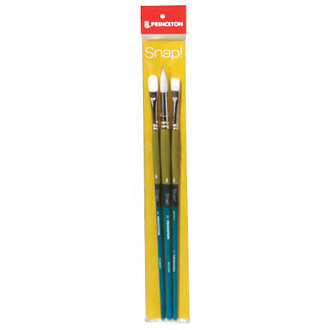 princeton series 9800 snap long handle nylon bristle brush set