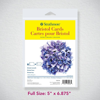 Bristol Vellum Surface 300 Paper by Strathmore - Multi Sizes