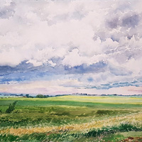 Catherine Perehudoff