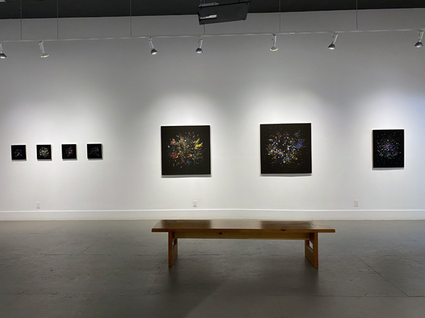 Gabriela Garcia-Luna install 01