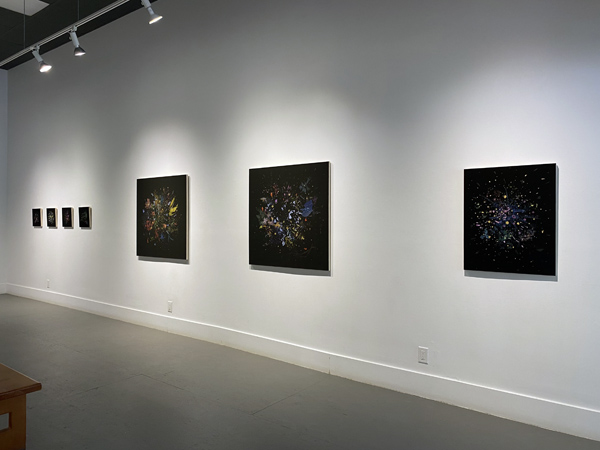 Gabriela Garcia-Luna install 03