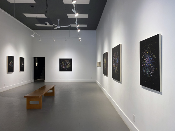 Gabriela Garcia-Luna install 04