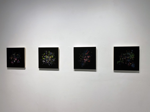 Gabriela Garcia-Luna install 07