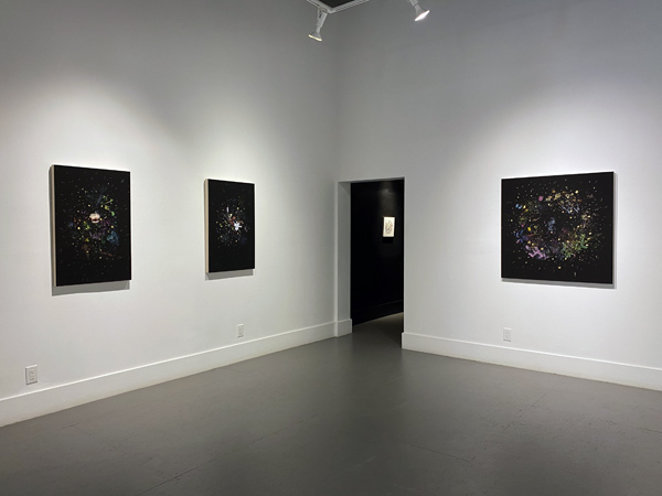 Gabriela Garcia-Luna install 08