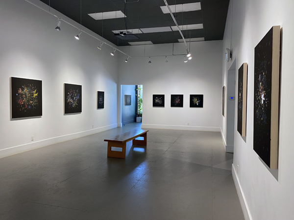 Gabriela Garcia-Luna install 10