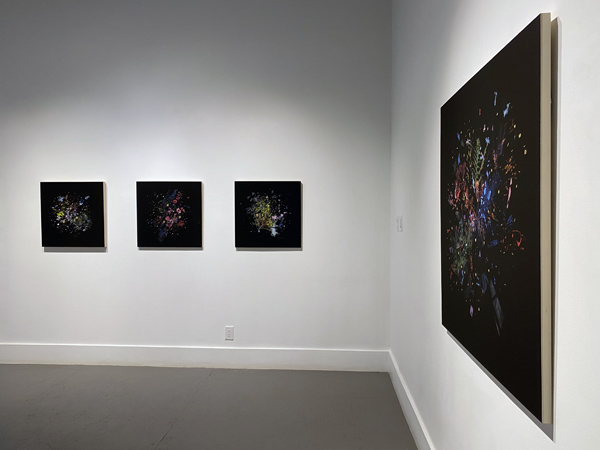 Gabriela Garcia-Luna install 11