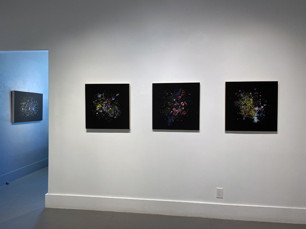 Gabriela Garcia-Luna install 12