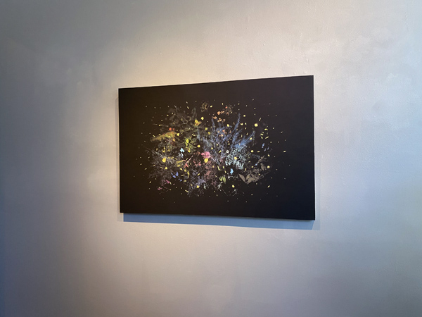 Gabriela Garcia-Luna install 13