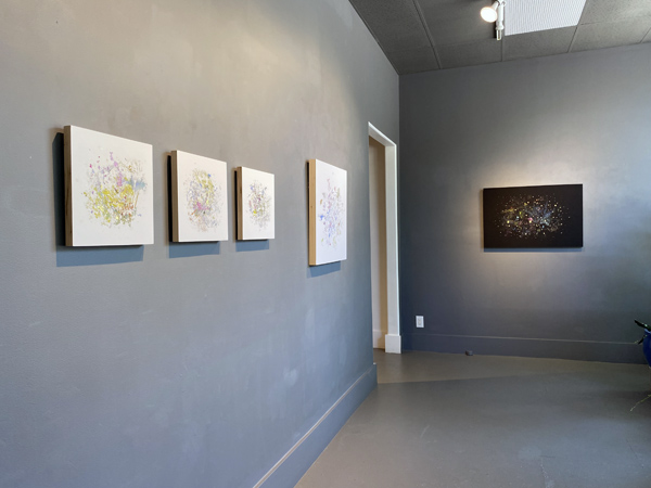 Gabriela Garcia-Luna install 14