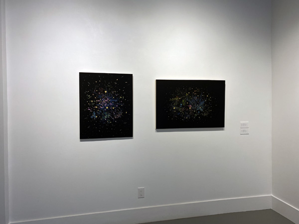 New Year Show 2026 04